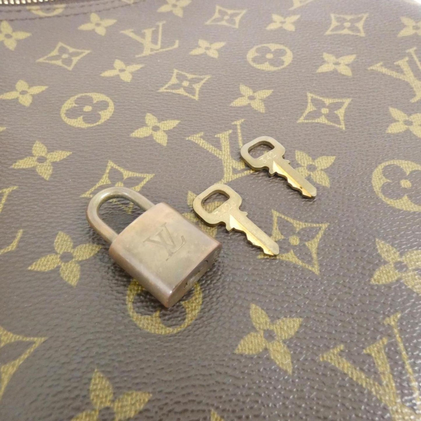 Louis Vuitton Coated Canvas Brown Travel Bags