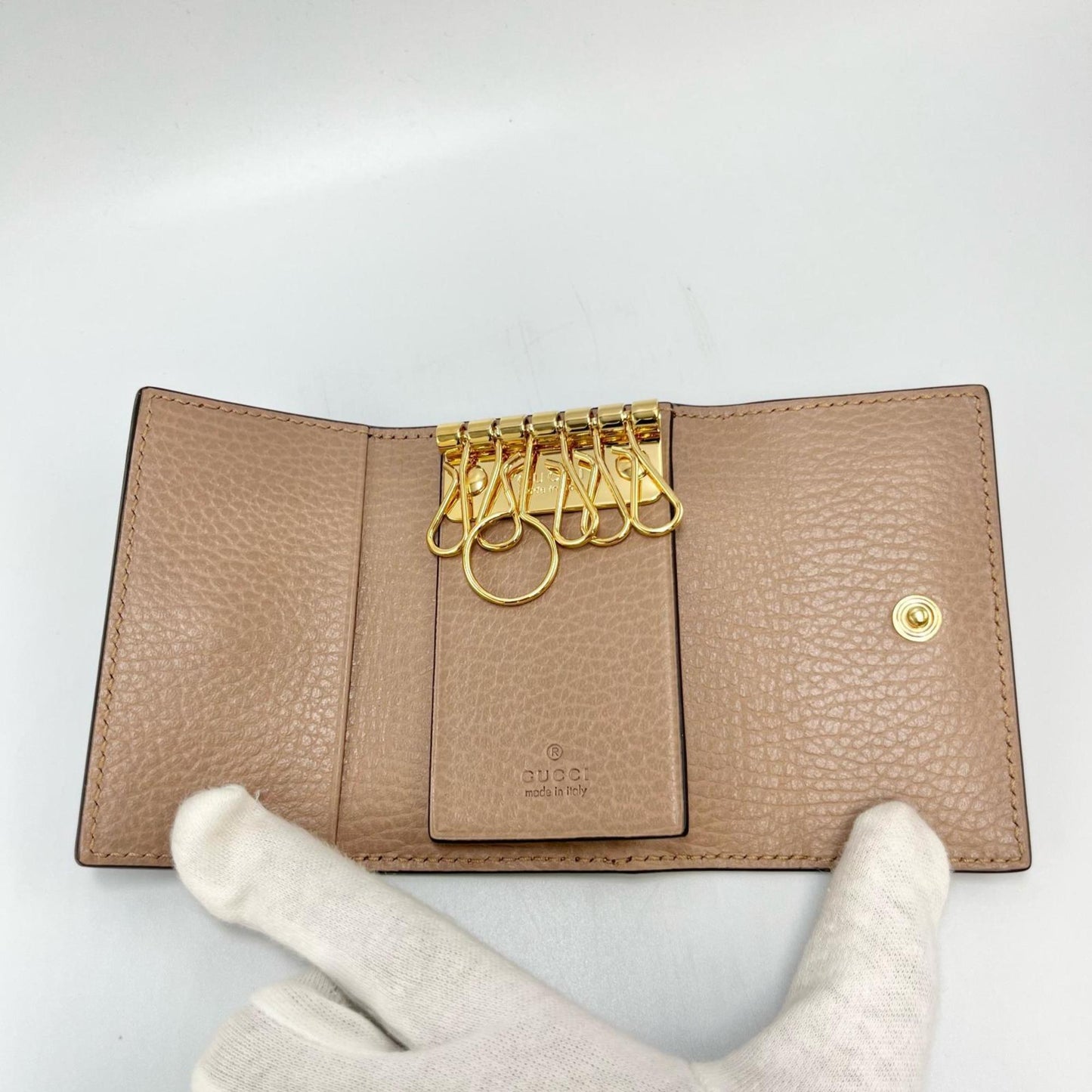 Gucci Others Brown Cases
