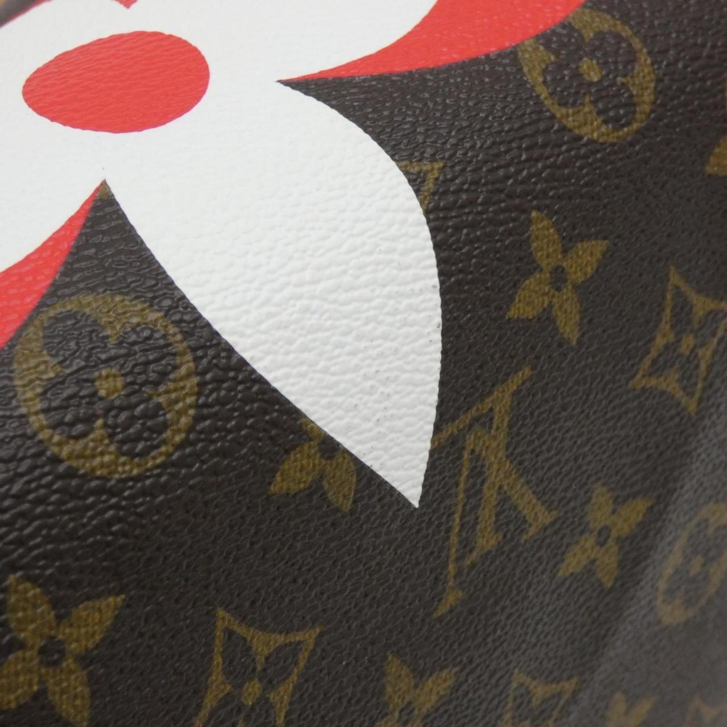 Louis Vuitton Coated Canvas Brown Travel Bags