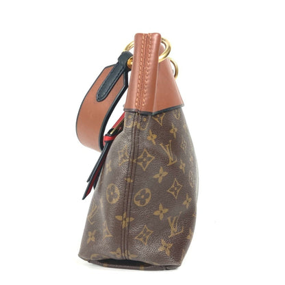 Louis Vuitton Monogram Canvas Brown Handbags