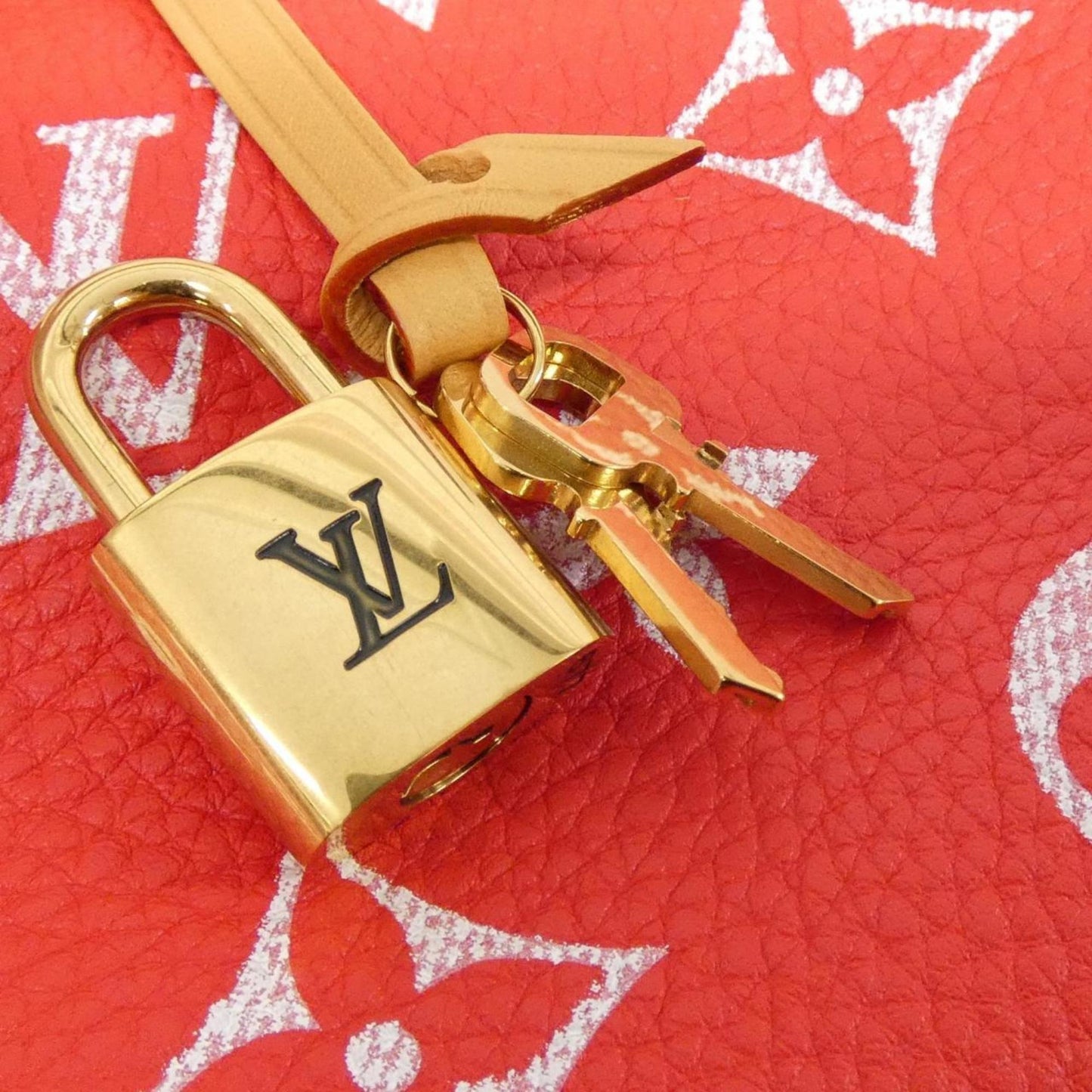 Louis Vuitton Others Red Travel Bags