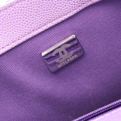 Chanel Others Purple Shoulder Bags