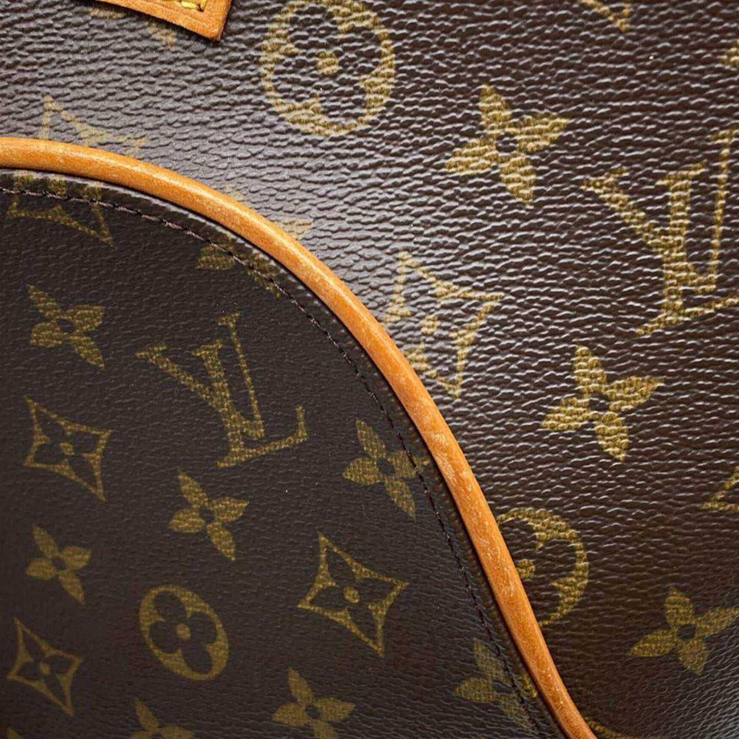 Louis Vuitton Monogram Canvas Brown Handbags