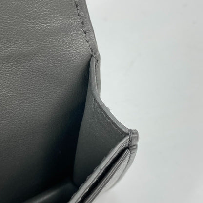 Bottega Veneta Others Gray Cases