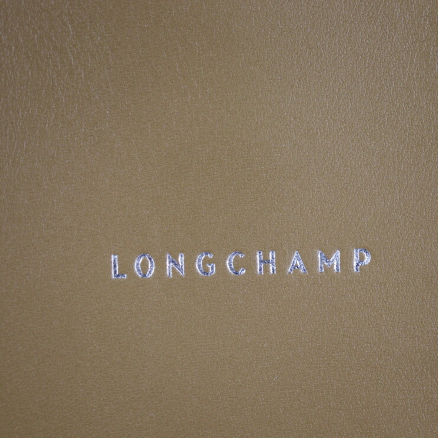 Longchamp Others Brown Handbags