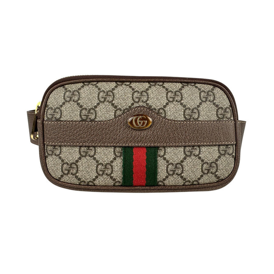 Gucci Others Brown Crossbody Bags