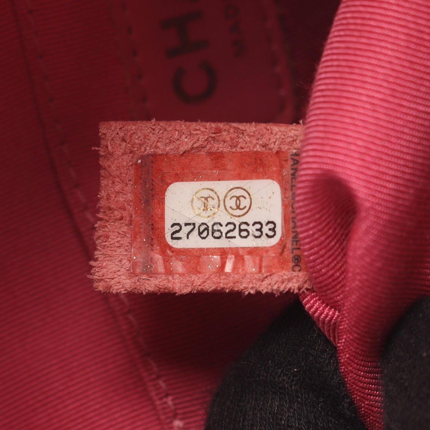Chanel Others Pink Backpacks