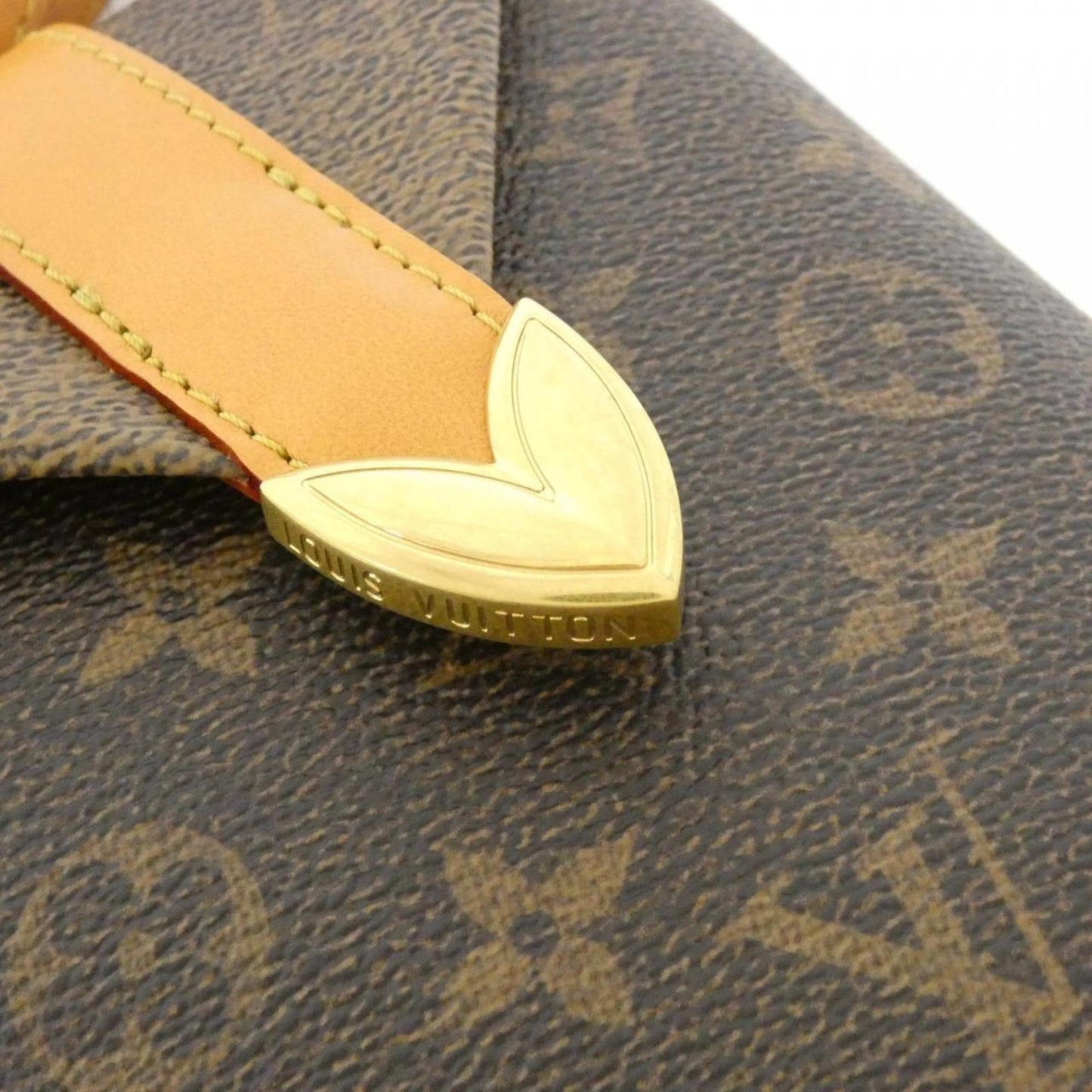 Louis Vuitton Monogram Canvas Brown Small Bags