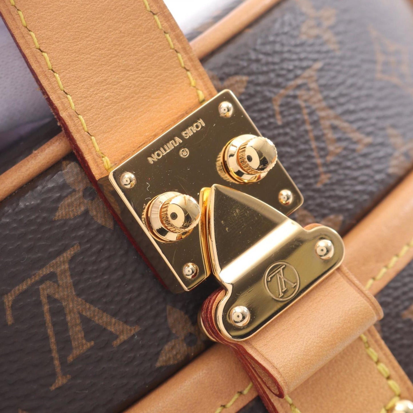Louis Vuitton Coated Canvas Brown Handbags