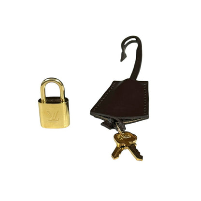 Louis Vuitton Monogram Canvas Brown Handbags