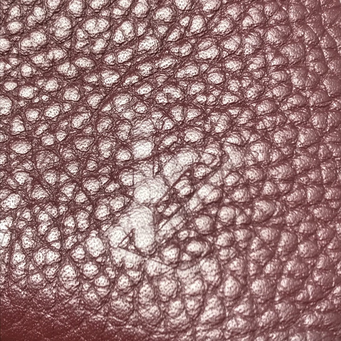 Louis Vuitton Others Brown Clutch Bags