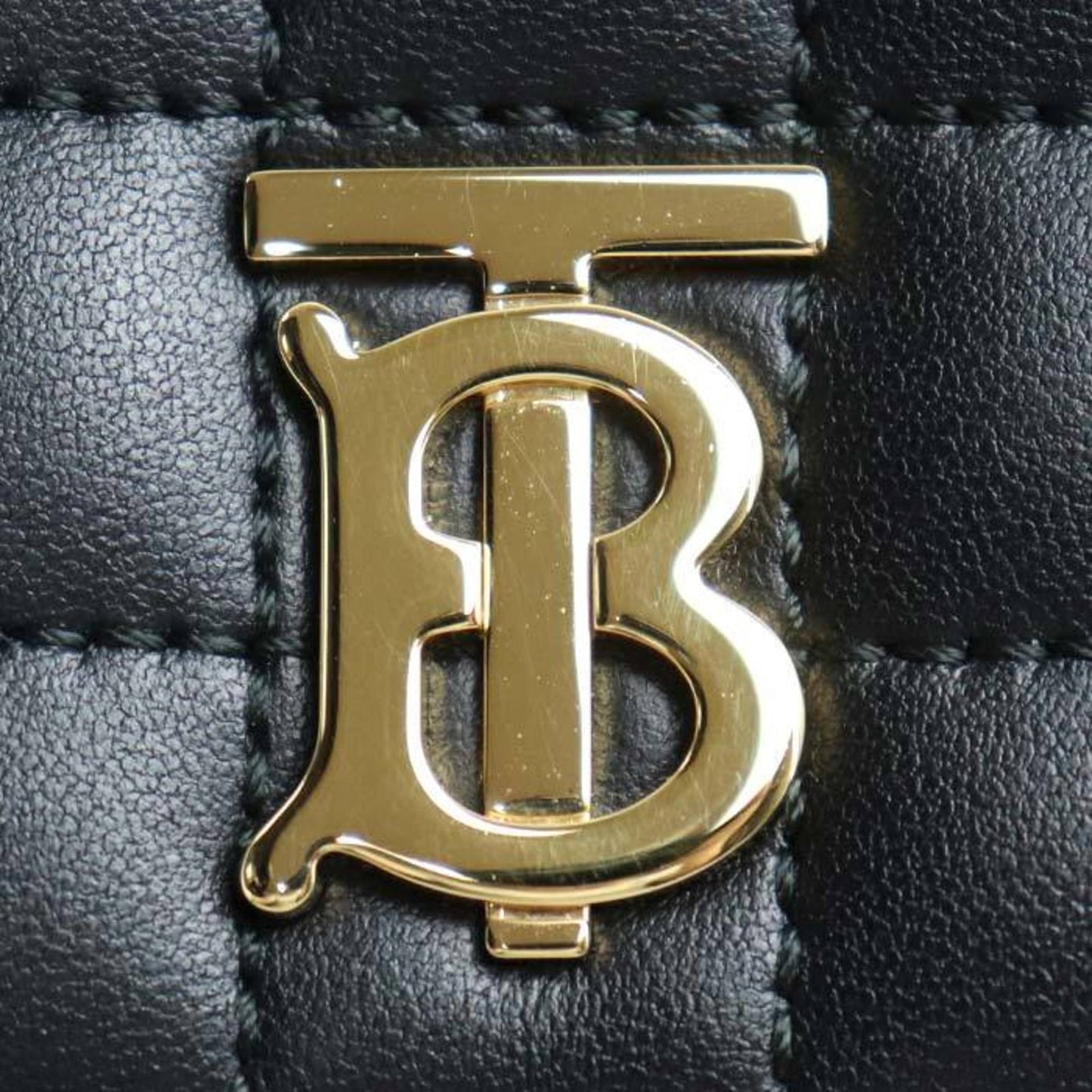 Burberry Others Black Shoulder Bags