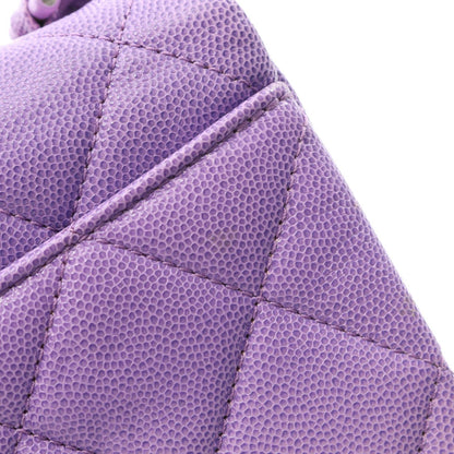 Chanel Others Purple Shoulder Bags