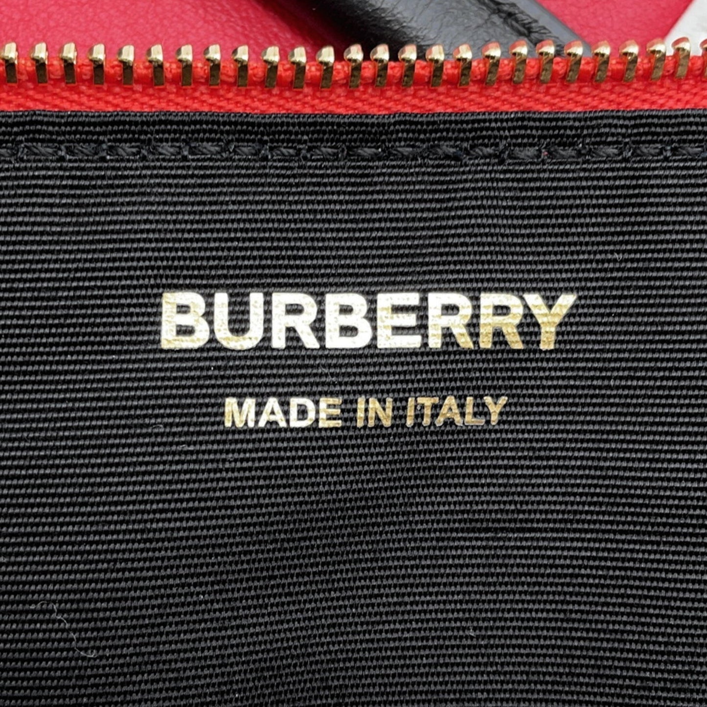 Burberry Others Red Handbags