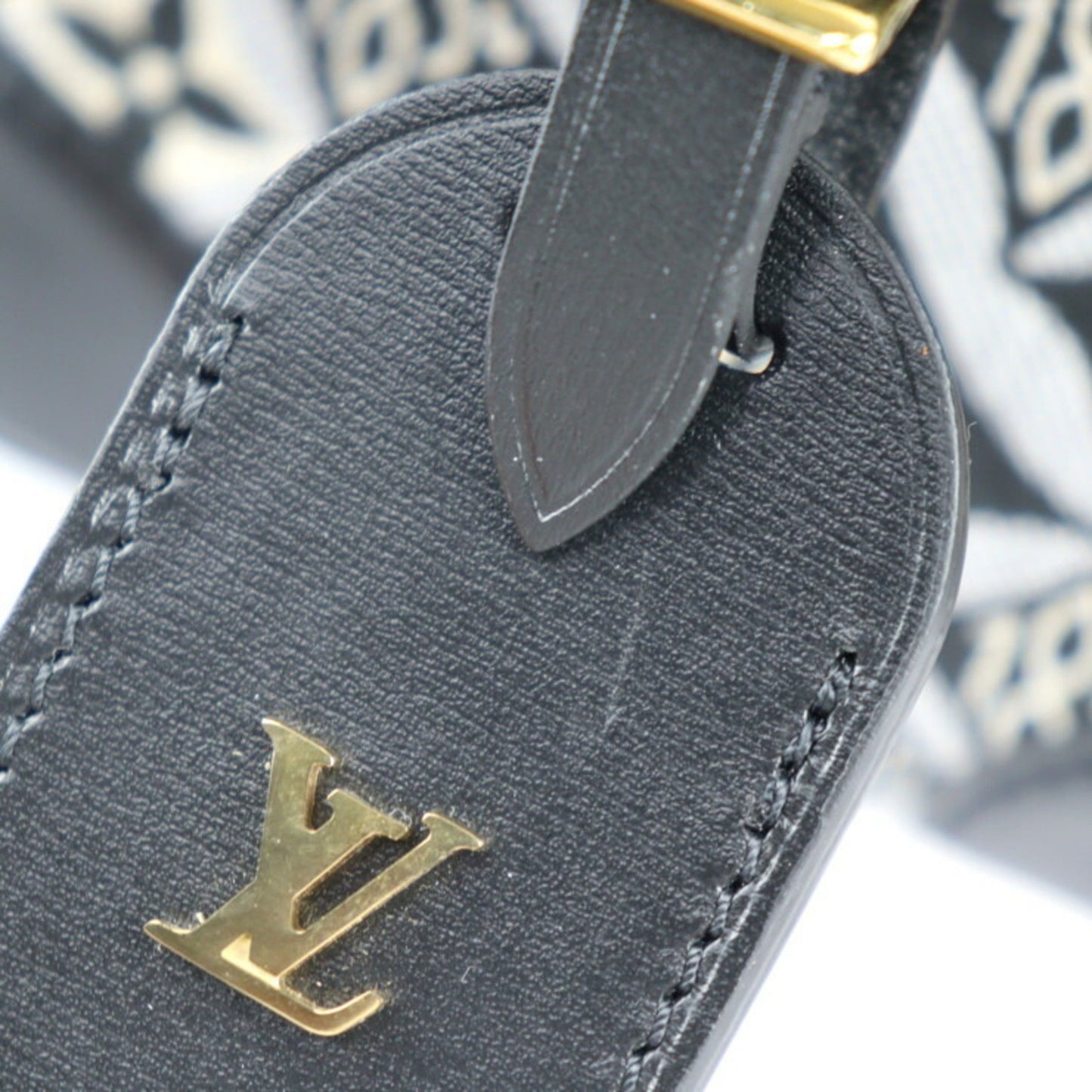 Louis Vuitton Canvas Black Handbags