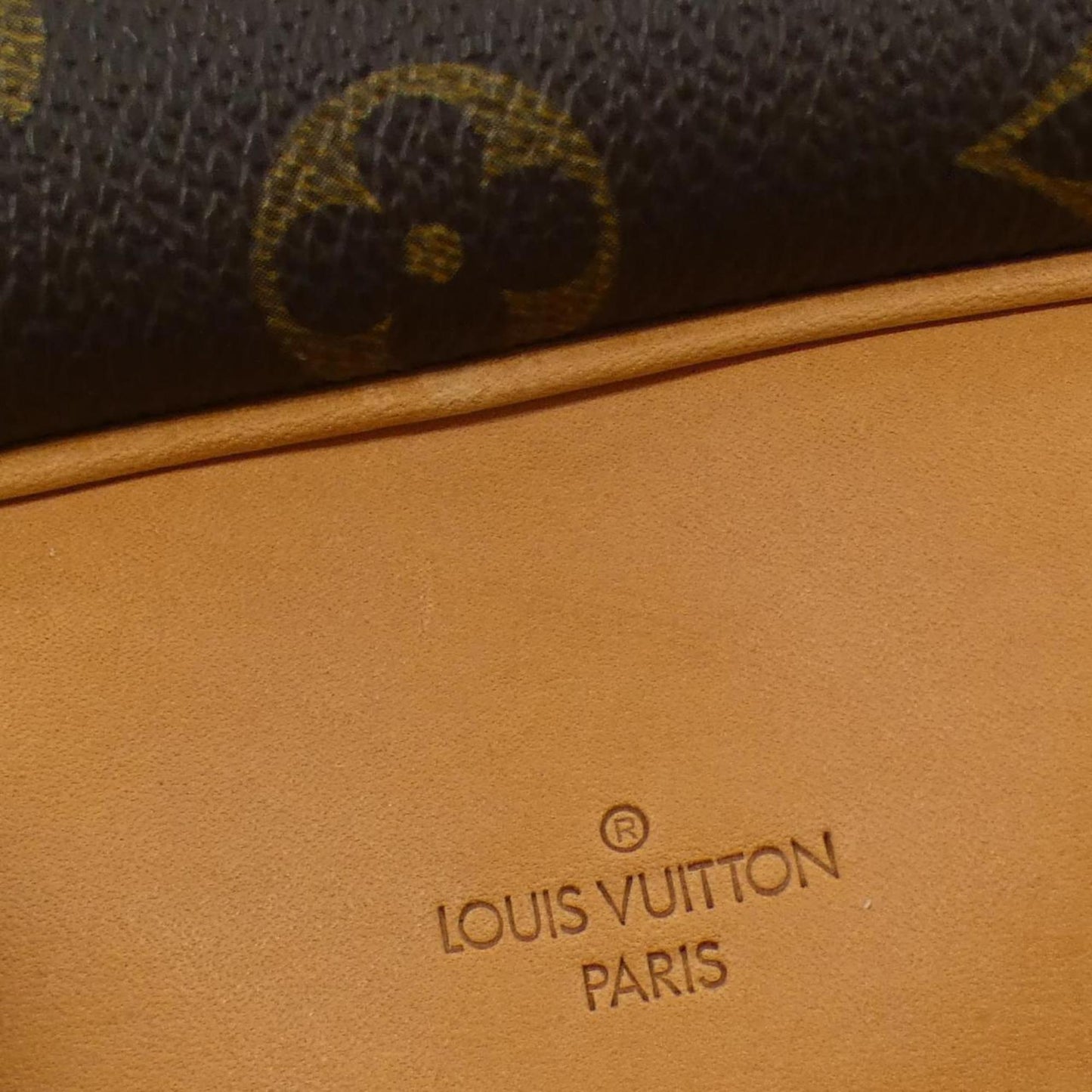 Louis Vuitton Coated Canvas Brown Handbags