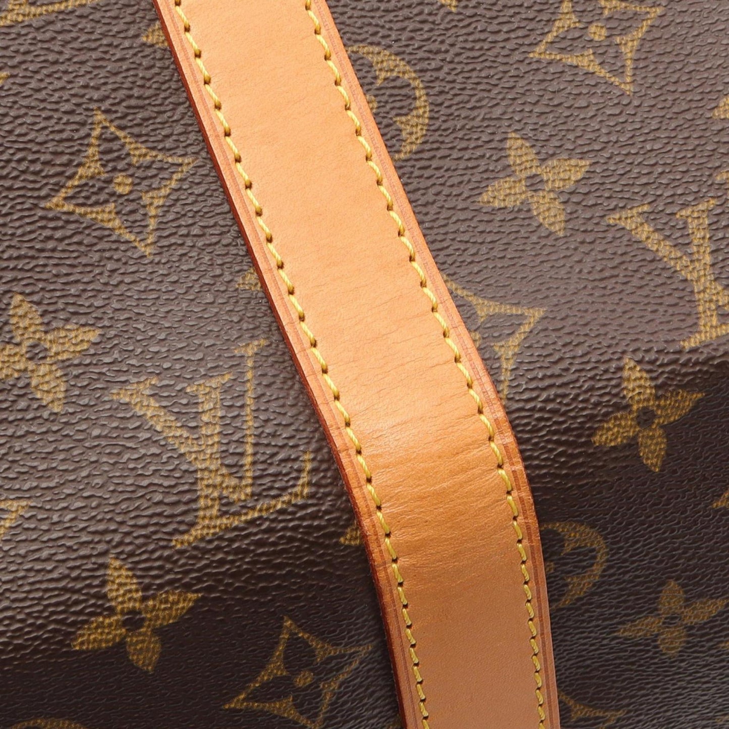 Louis Vuitton Monogram Canvas Brown Travel Bags