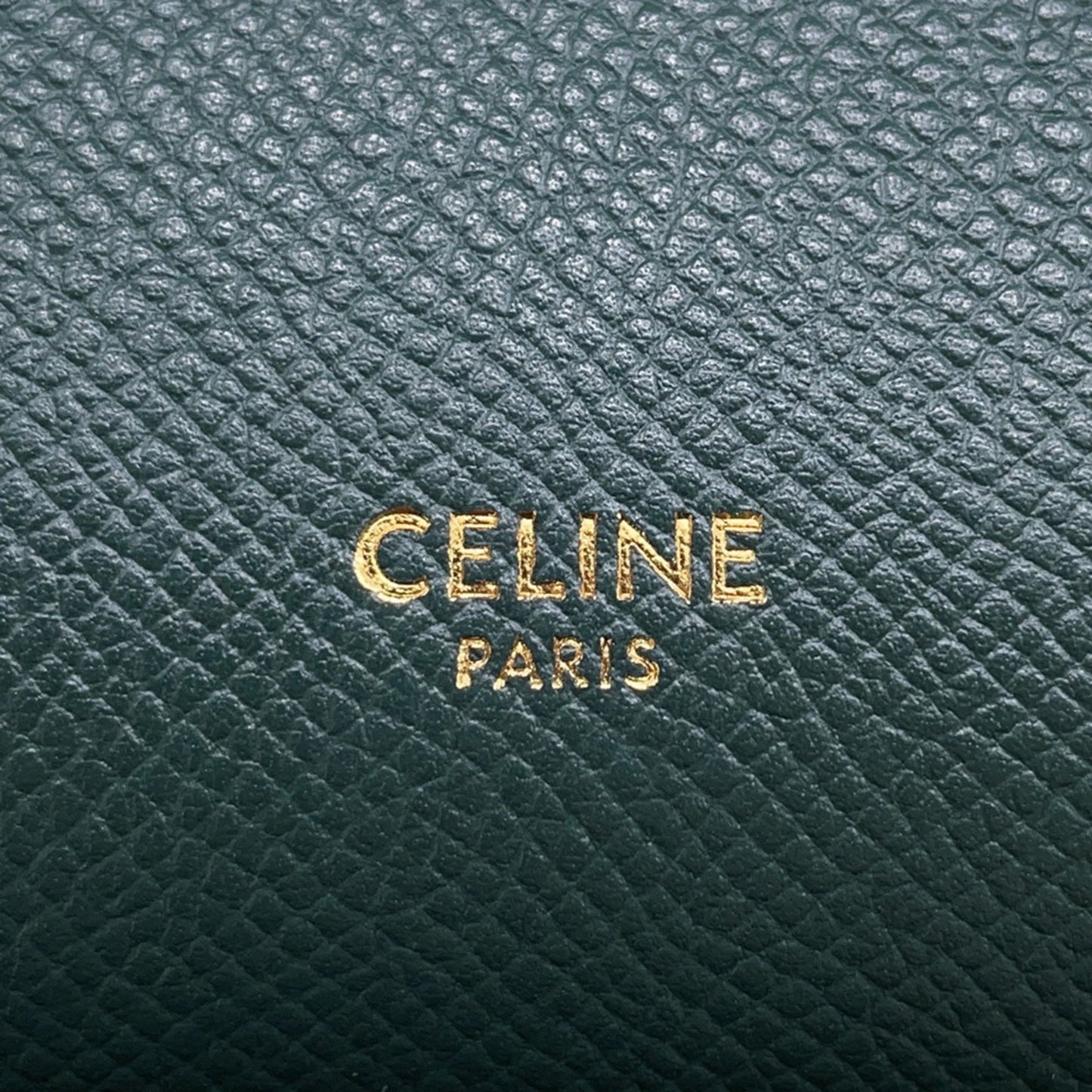 Celine Others Green Handbags