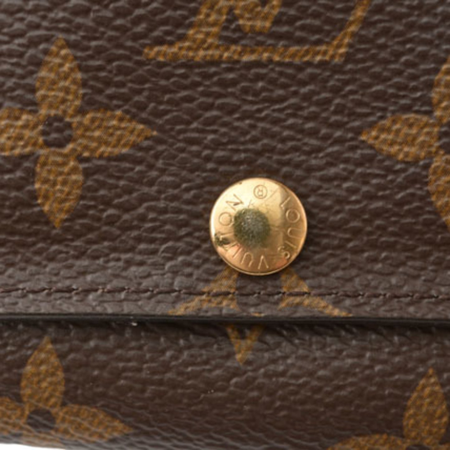Louis Vuitton Monogram Canvas Brown Cases