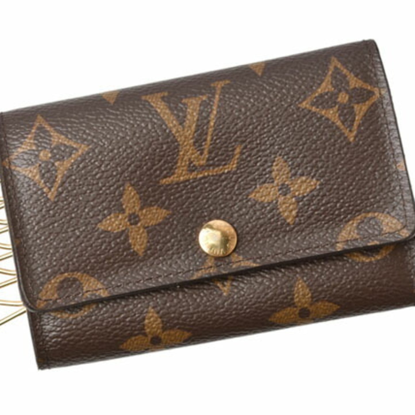 Louis Vuitton Monogram Canvas Brown Cases