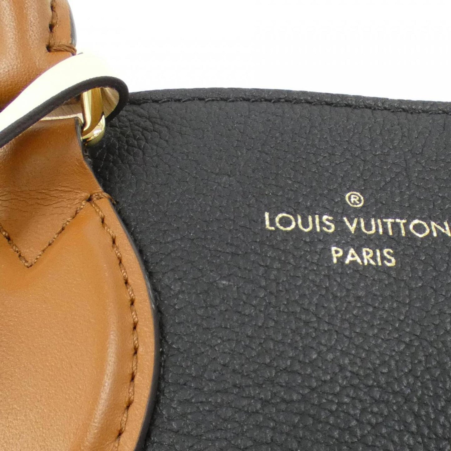 Louis Vuitton Coated Canvas Black Handbags