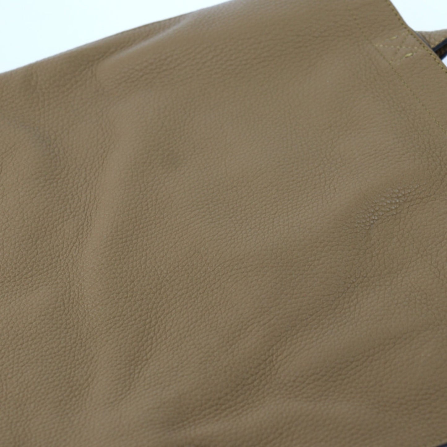 Fendi Others Brown Handbags