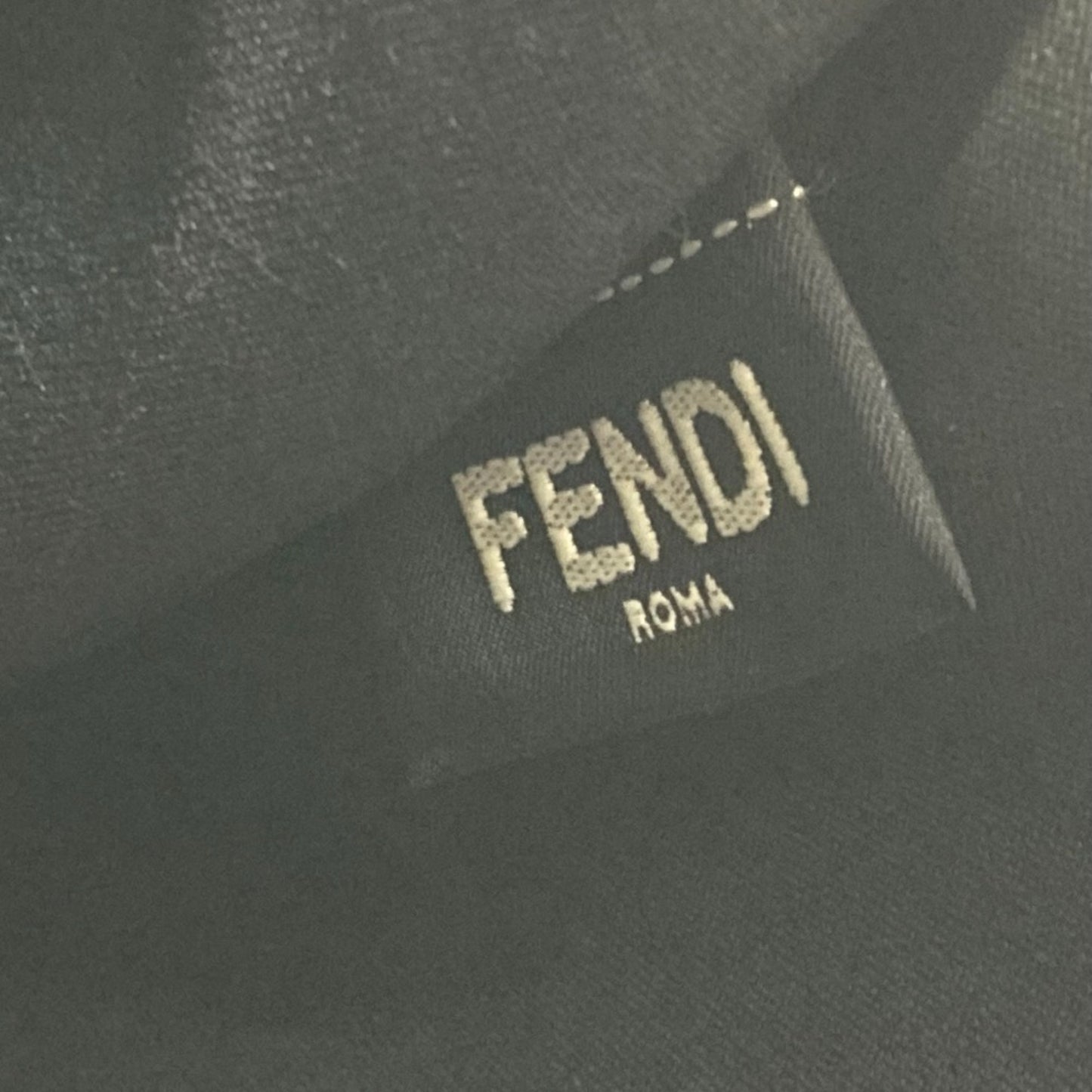 Fendi Others Black Clutch Bags