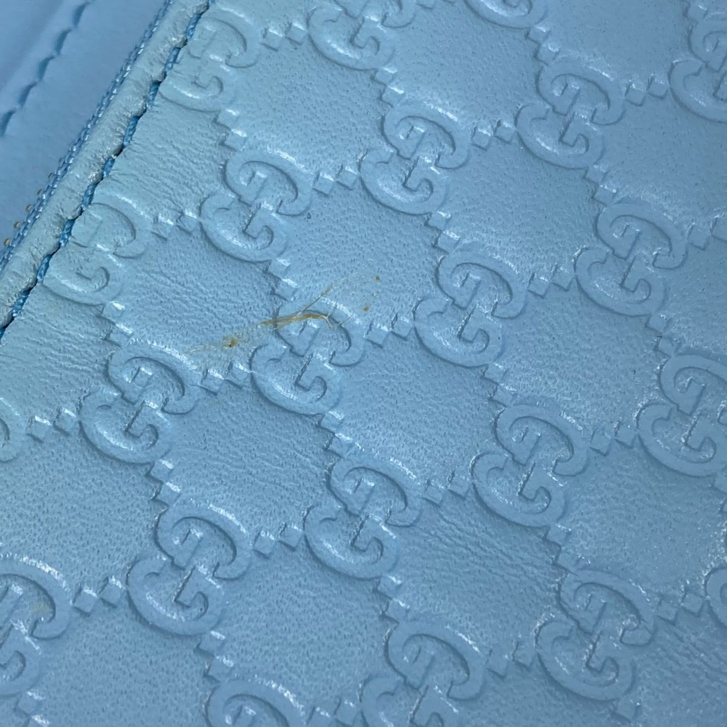 Gucci Others Blue Shoulder Bags
