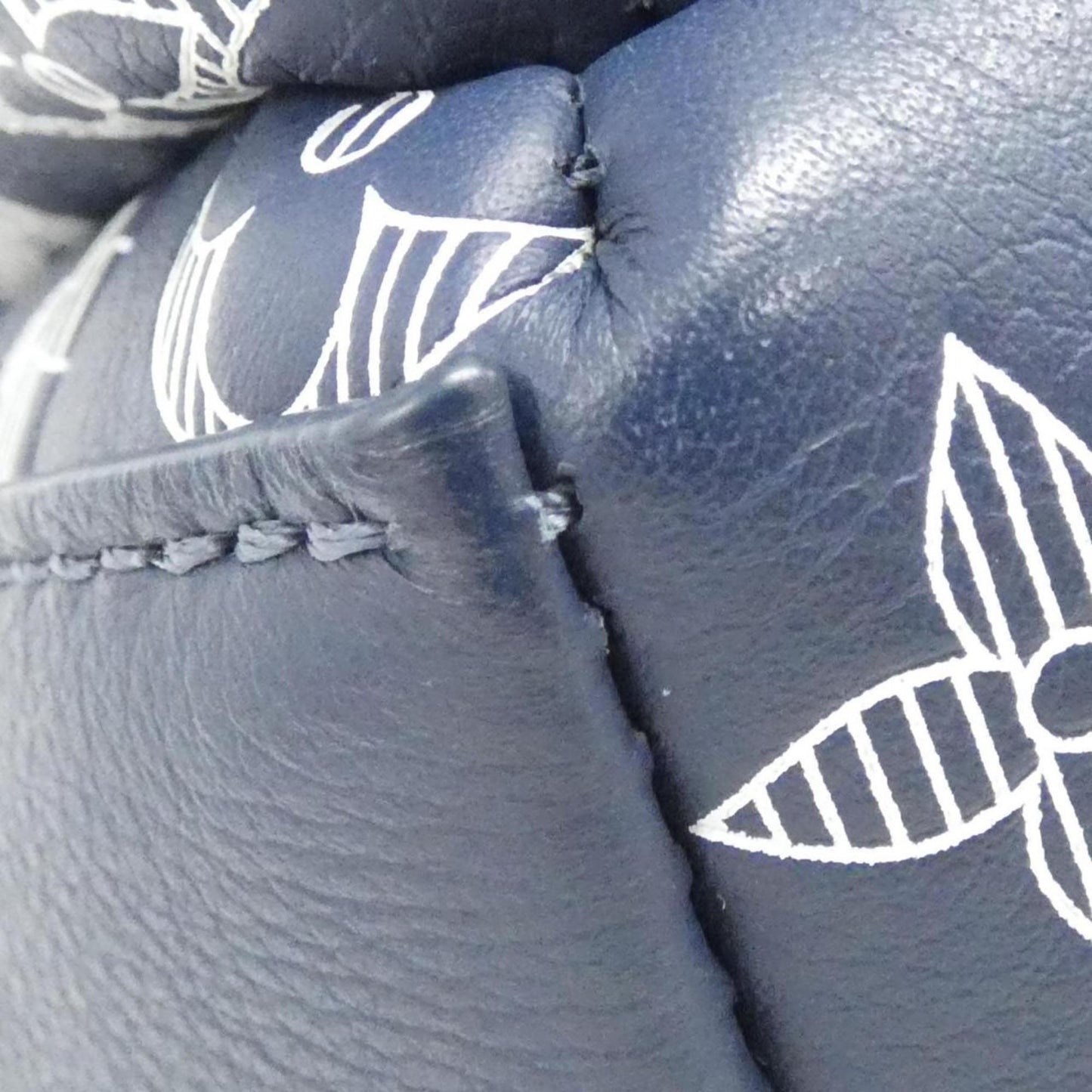 Louis Vuitton Others Black Backpacks