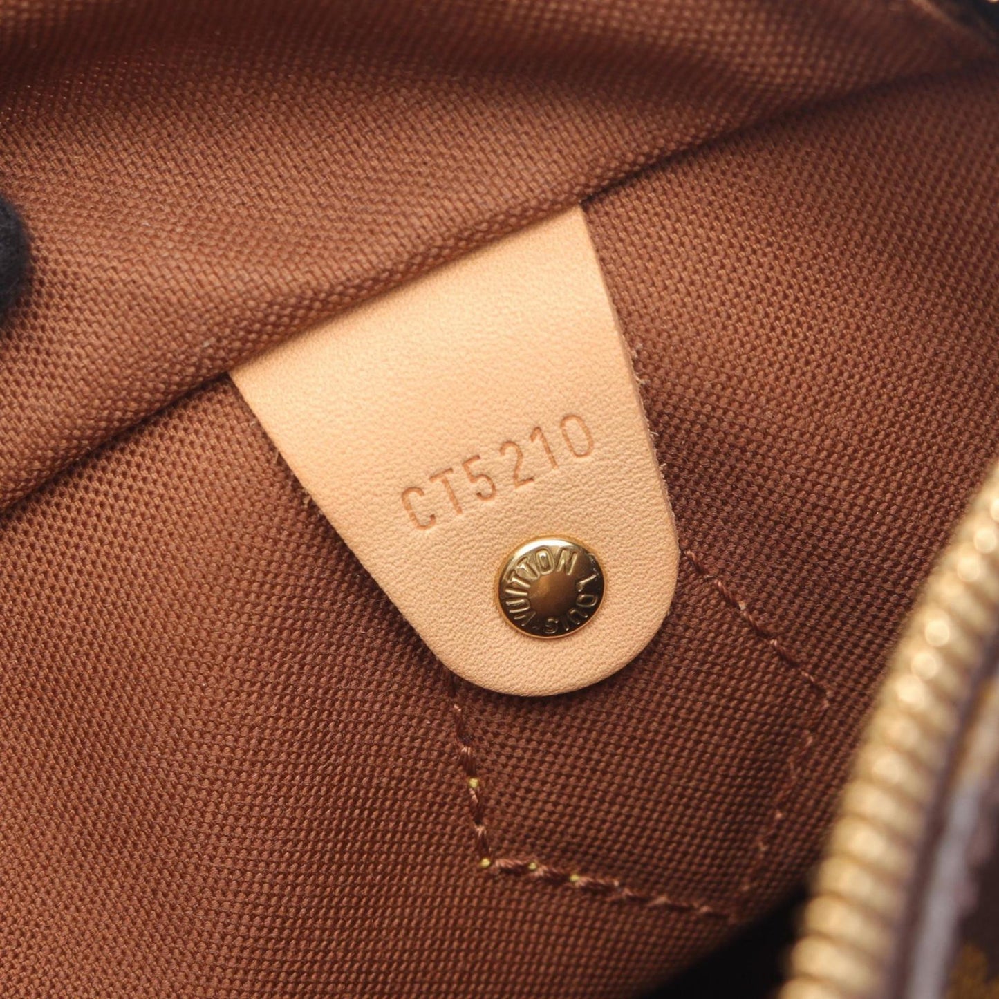 Louis Vuitton Coated Canvas Brown Handbags
