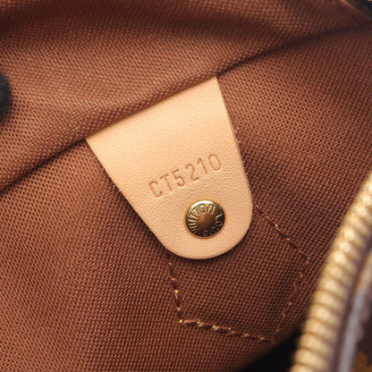 Louis Vuitton Coated Canvas Brown Handbags