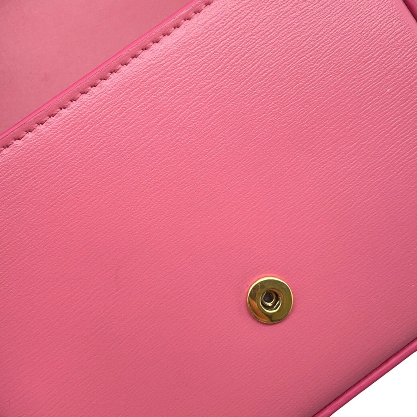 Celine Others Pink Shoulder Bags