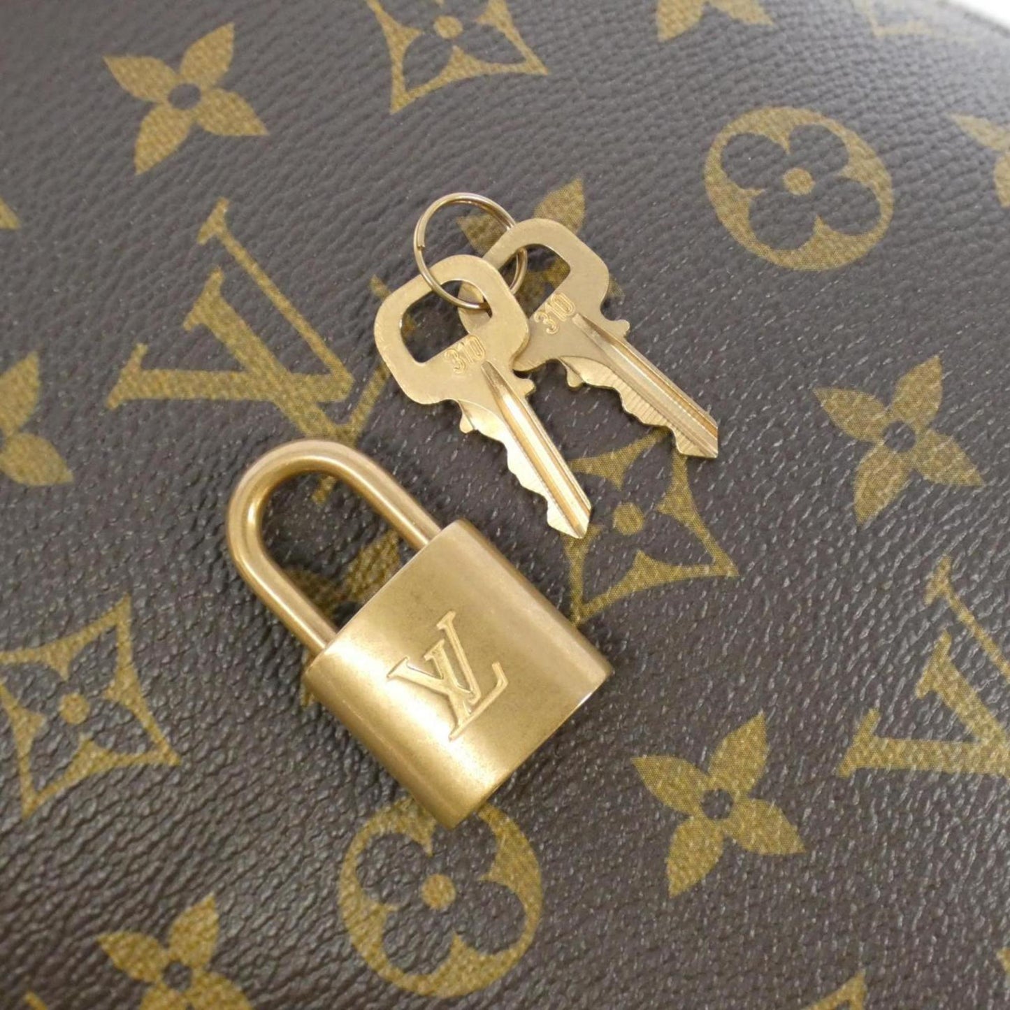 Louis Vuitton Monogram Canvas Brown Shoulder Bags
