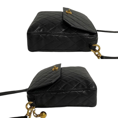 Chanel Others Black Shoulder Bags