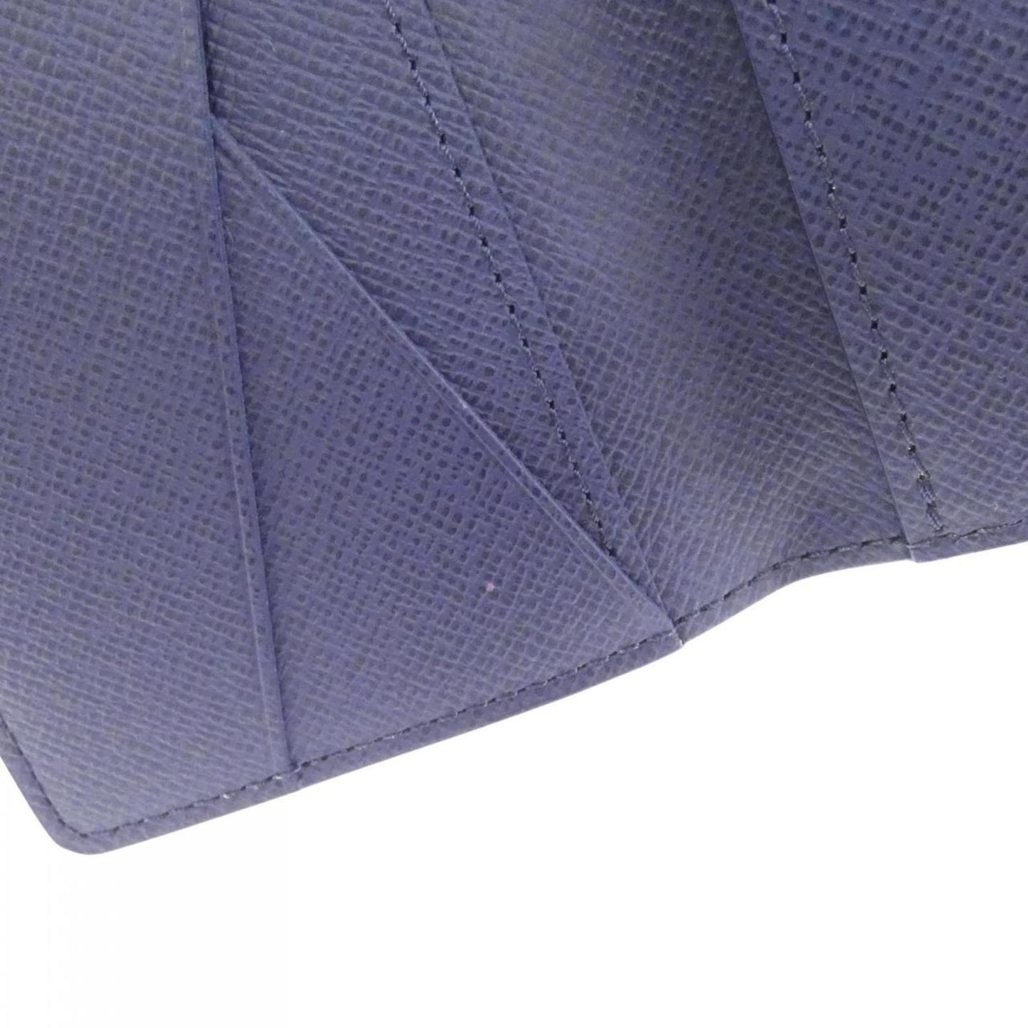 Louis Vuitton Coated Canvas Blue Cases