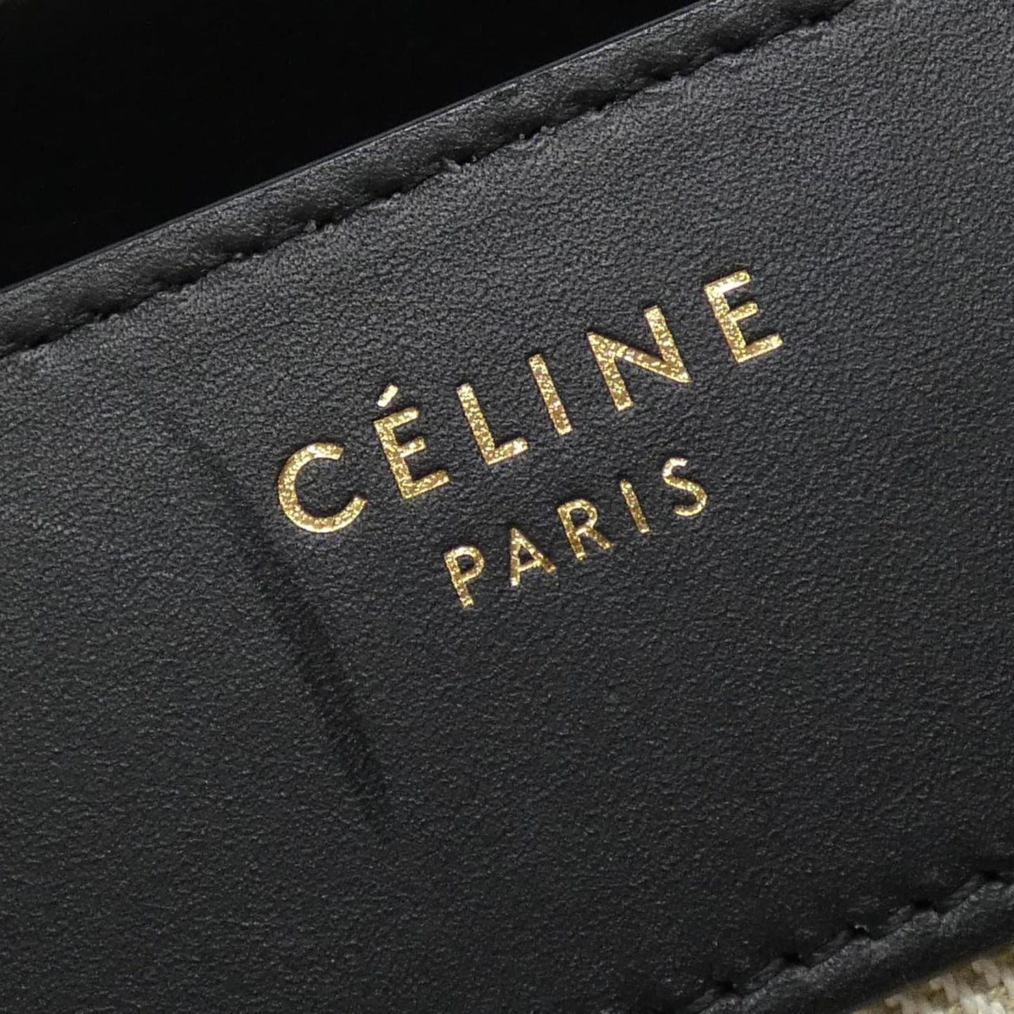 Celine Canvas Black Handbags