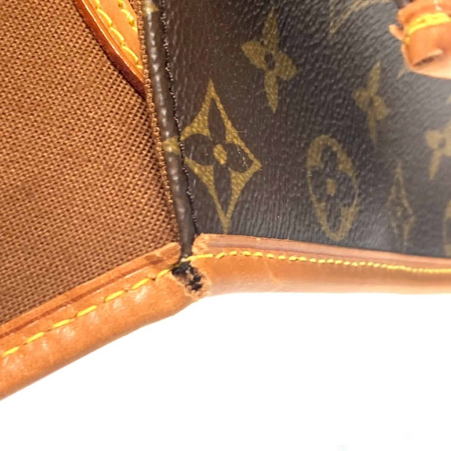 Louis Vuitton Monogram Canvas Brown Handbags