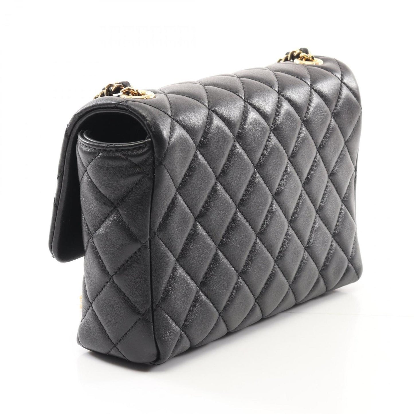 Chanel Others Black Shoulder Bags