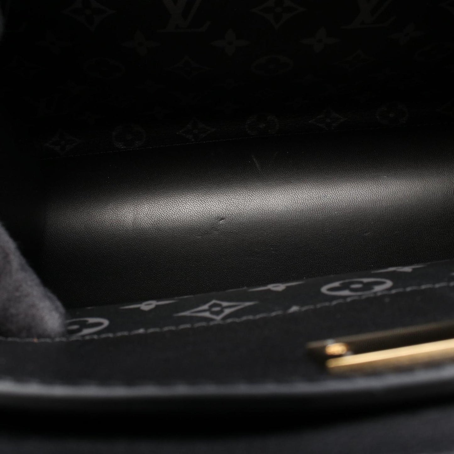 Louis Vuitton Others Black Handbags