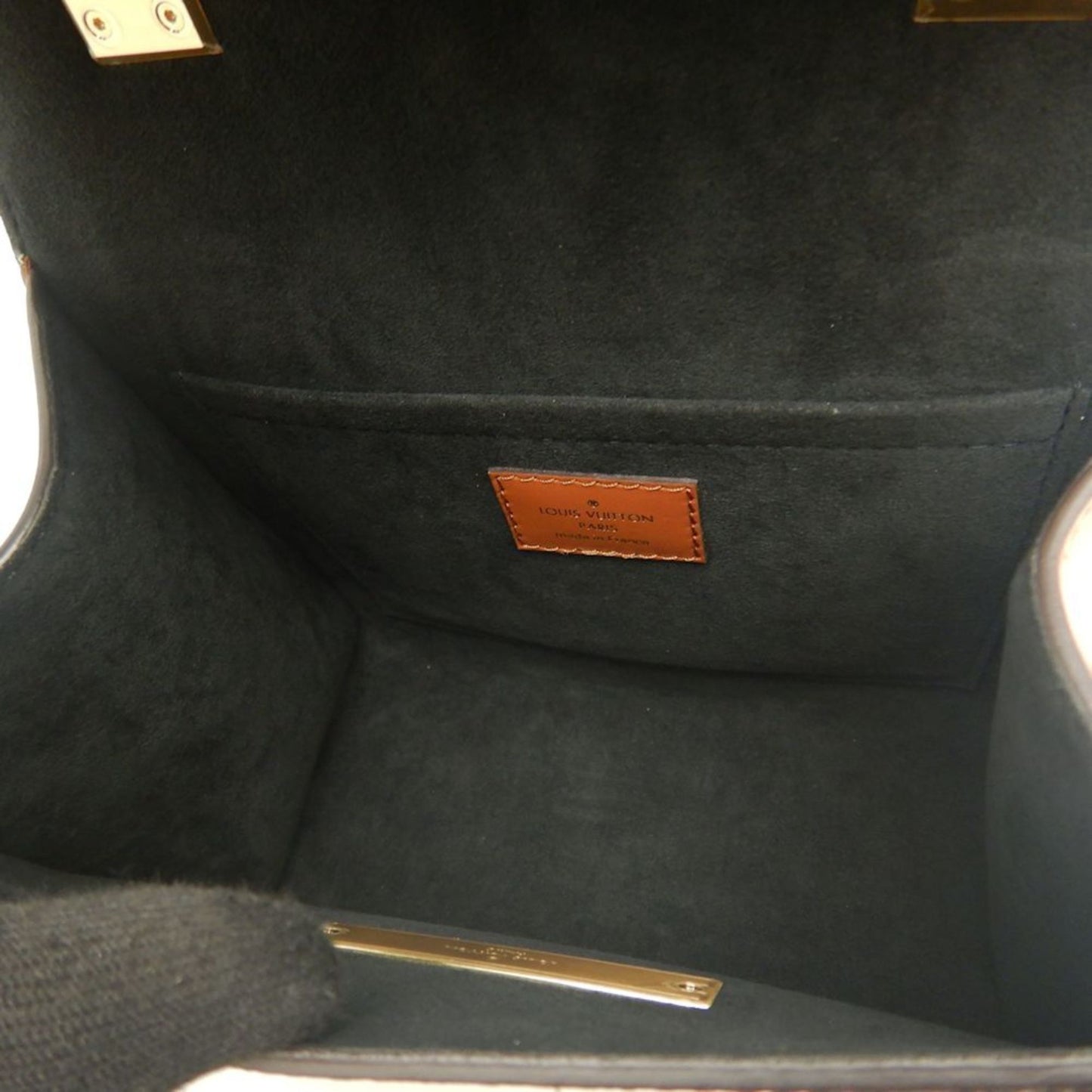 Louis Vuitton Pvc Brown Handbags