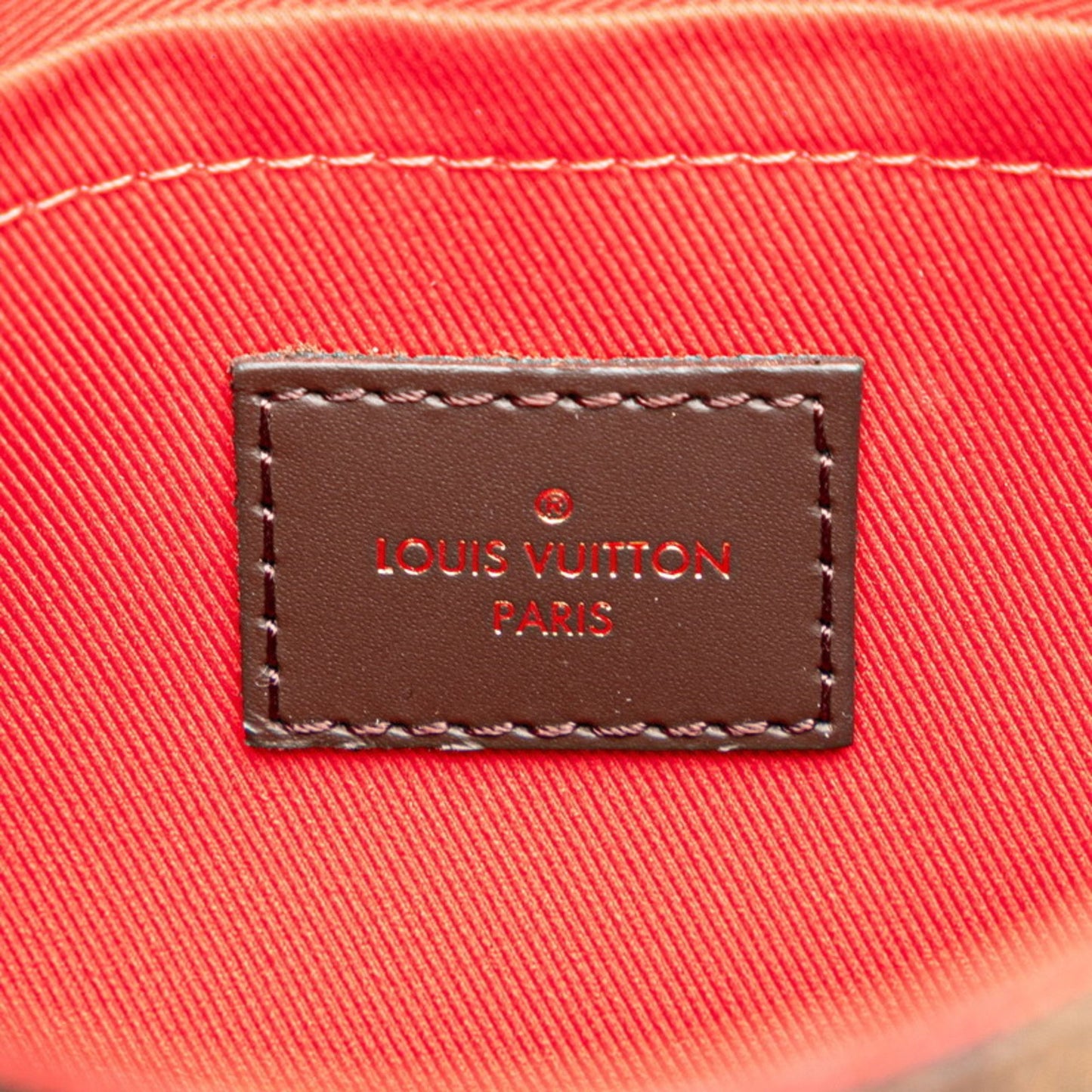 Louis Vuitton Pvc Brown Handbags
