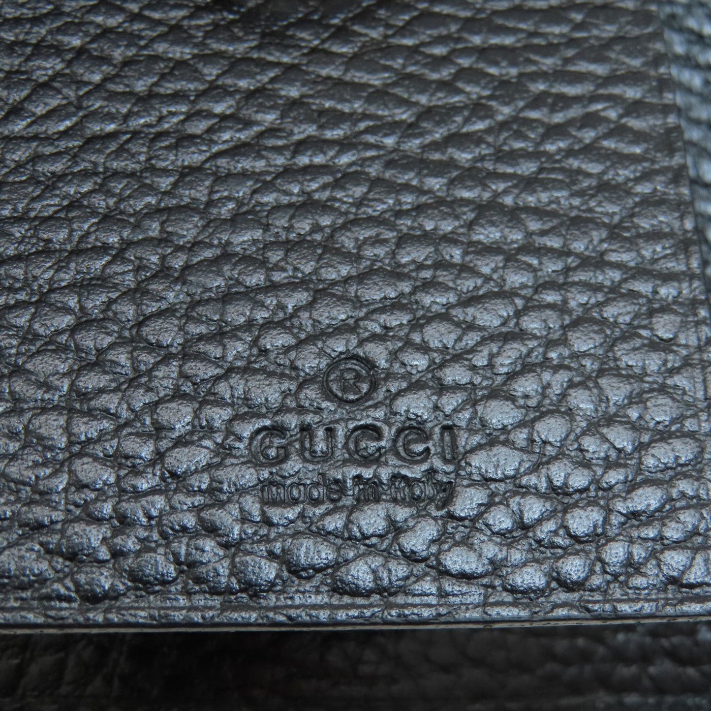 Gucci Others Black Cases