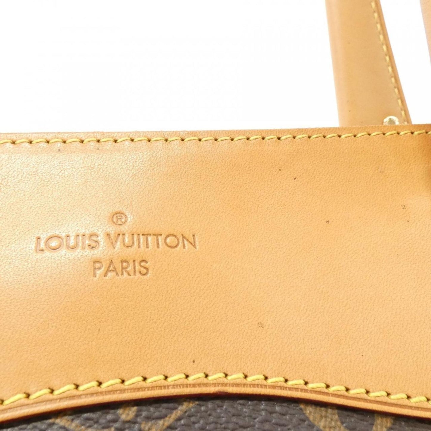 Louis Vuitton Monogram Canvas Brown Handbags