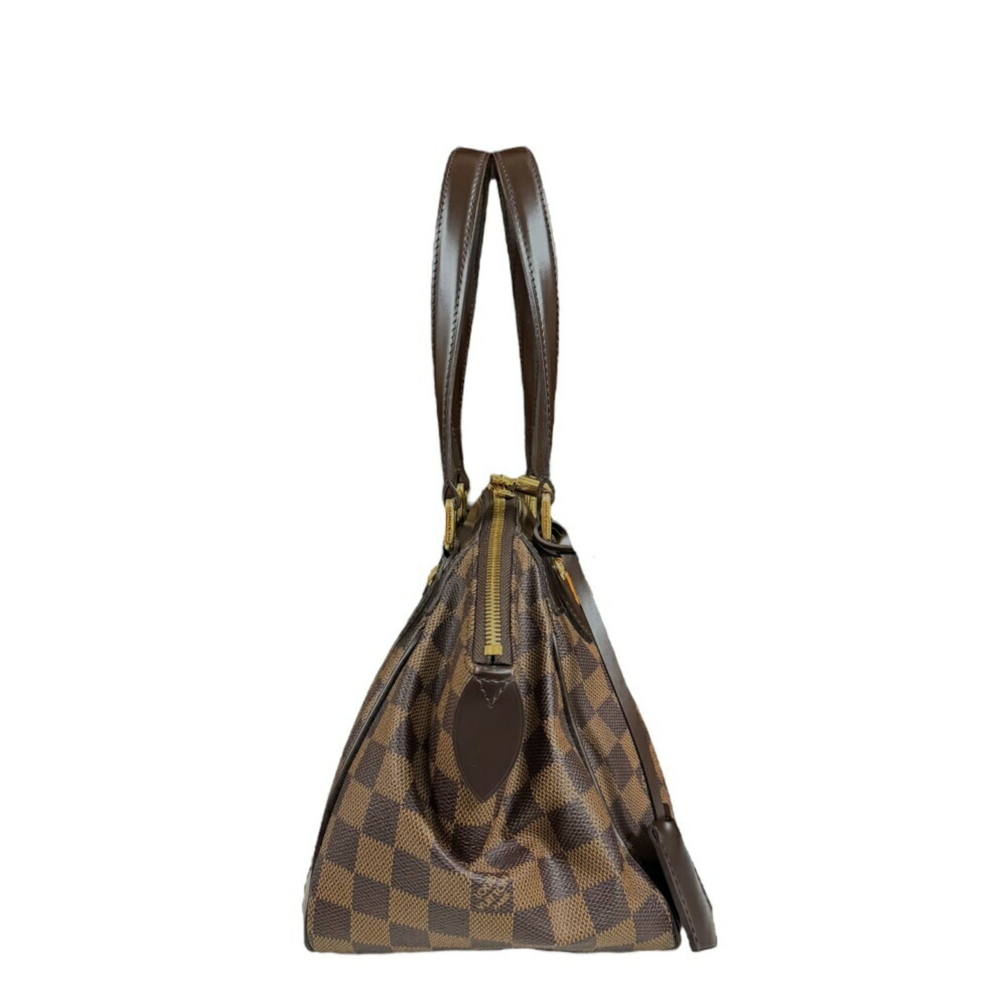 Louis Vuitton Monogram Canvas Brown Handbags