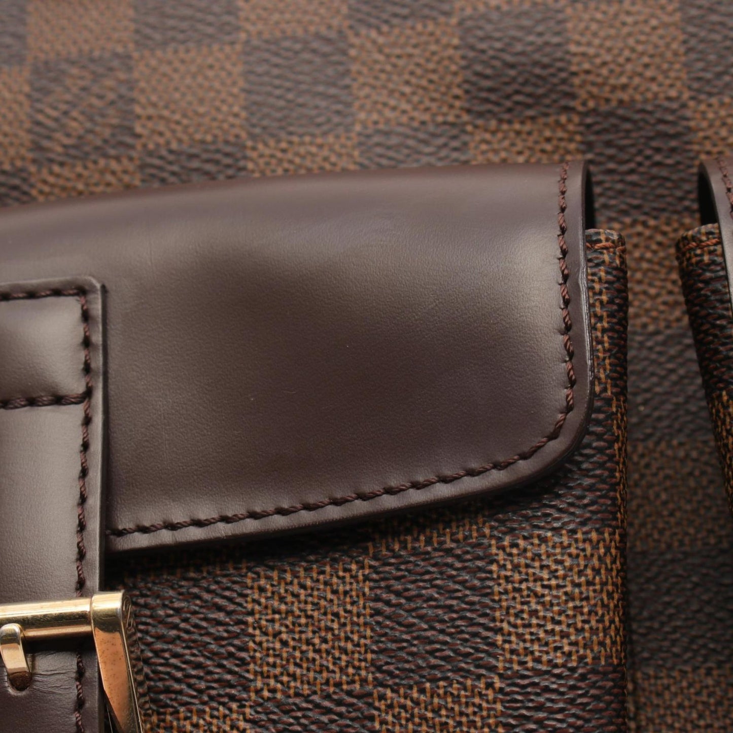 Louis Vuitton Coated Canvas Brown Tote Bags