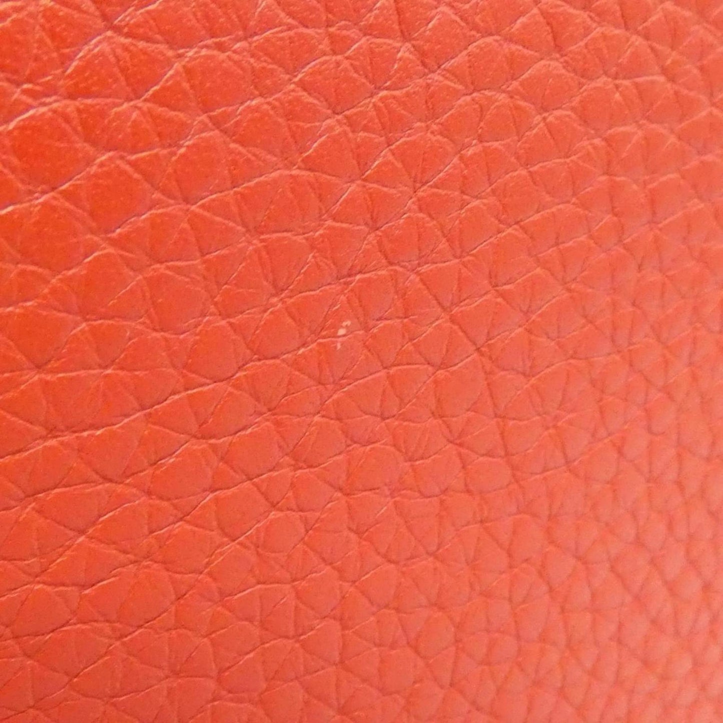 Louis Vuitton Others Orange Handbags