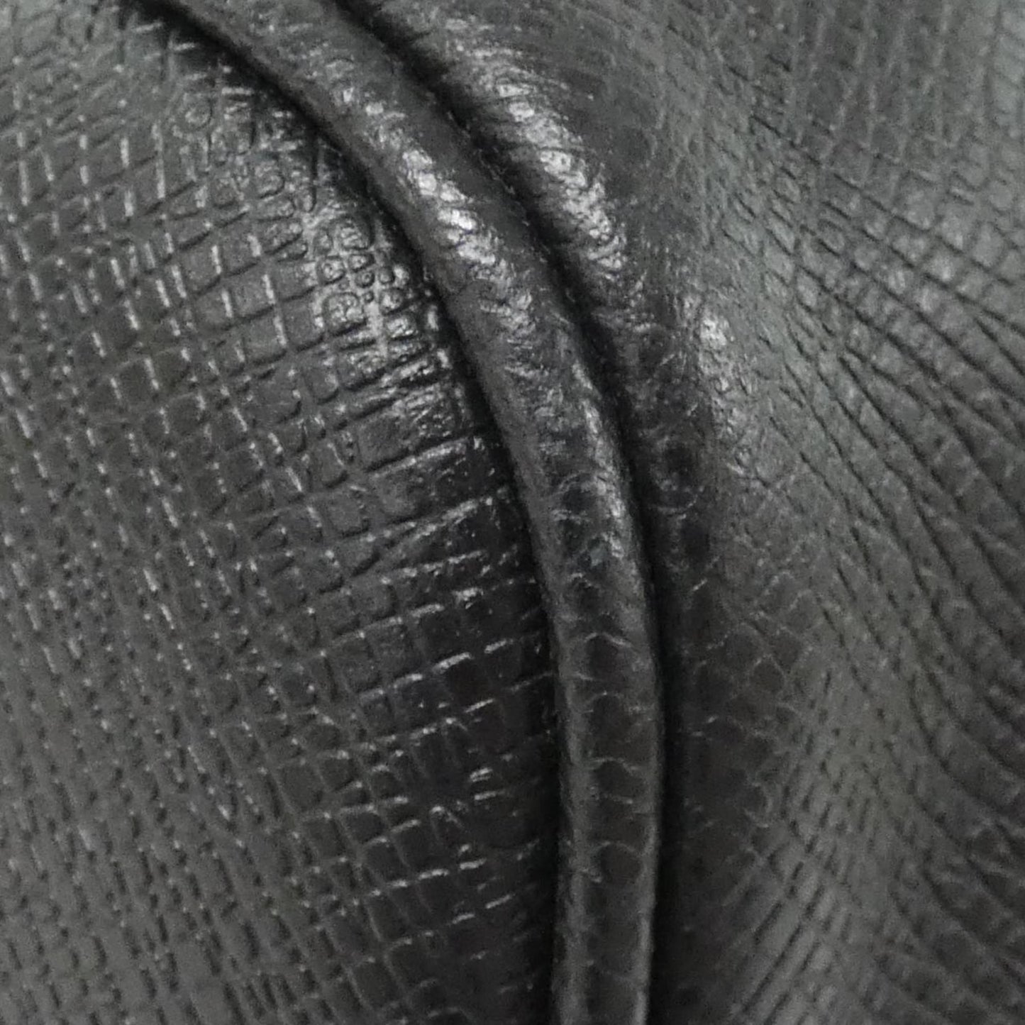Louis Vuitton Others Black Travel Bags