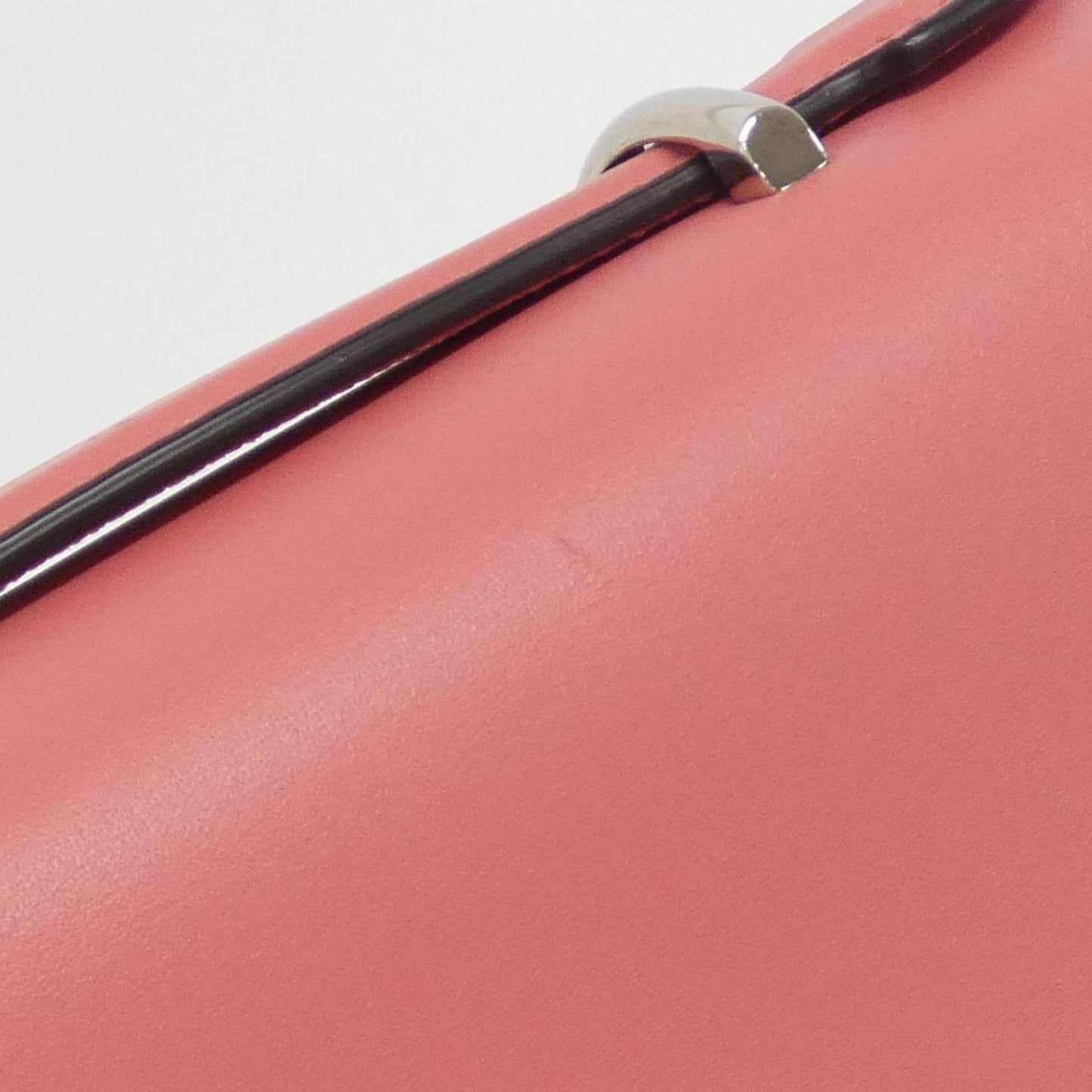 Gucci Others Pink Handbags