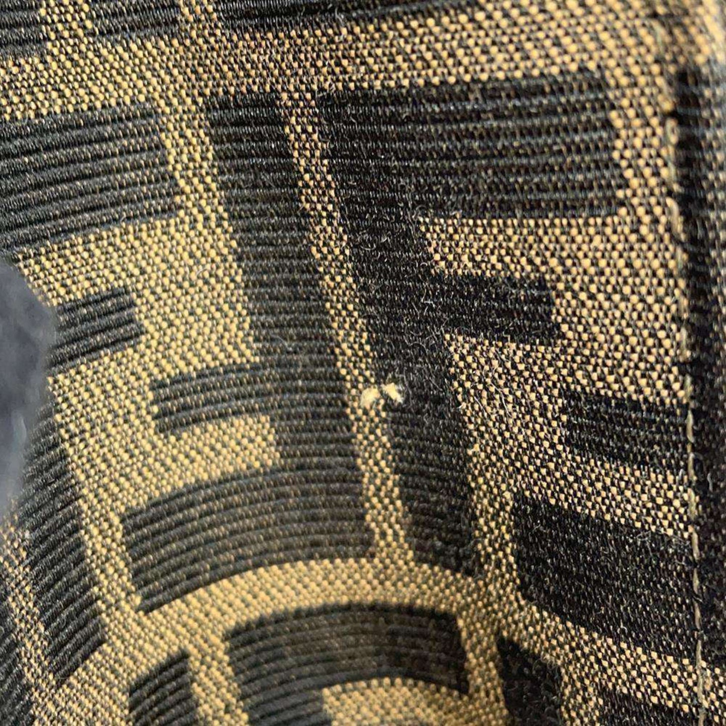 Fendi Canvas Brown Handbags