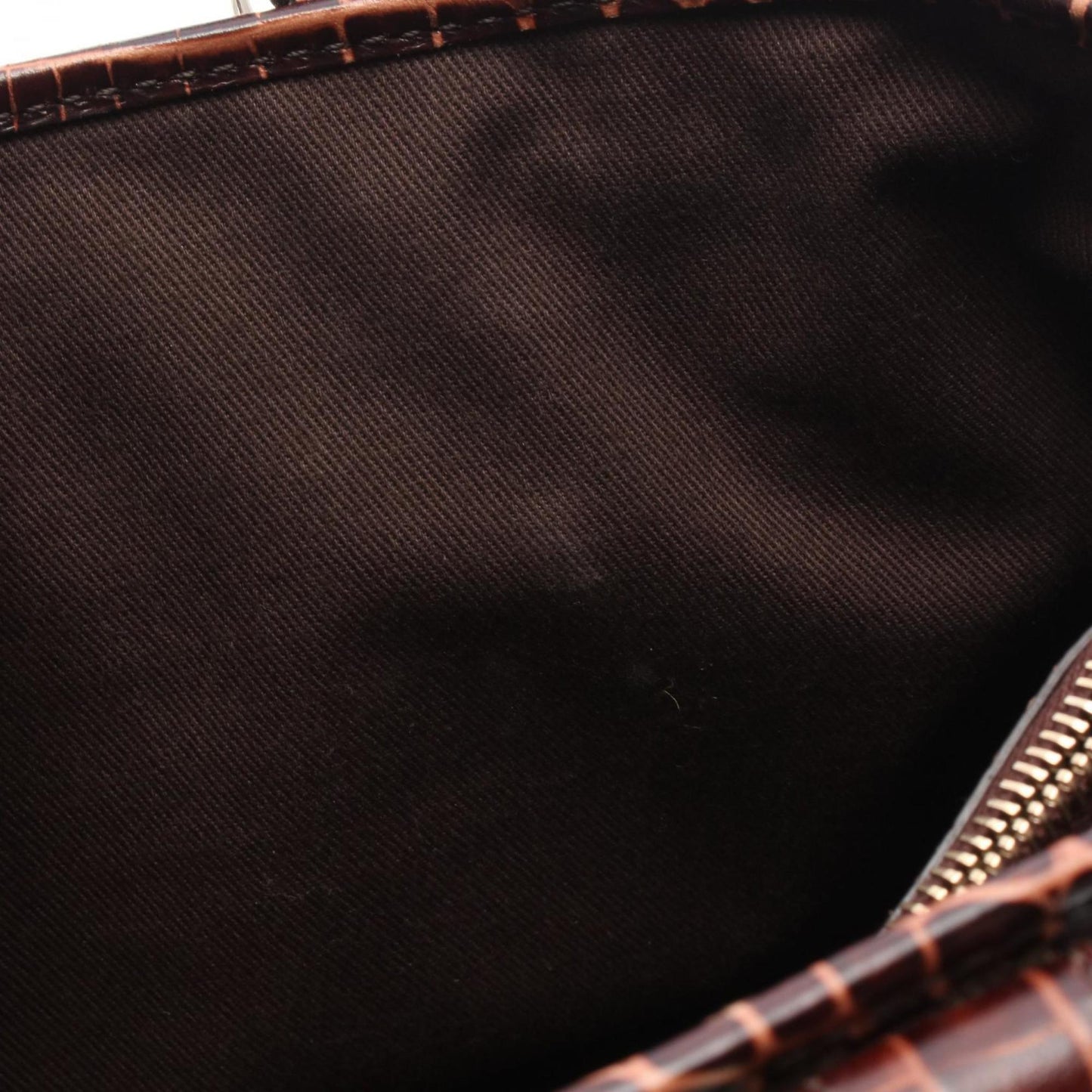 Celine Canvas Brown Handbags